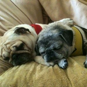 Meet your Posher, Natalie